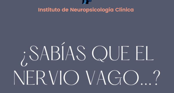 EL NERVIO VAGO. ¿SABÍAS QUE EL NERVIO VAGO…?